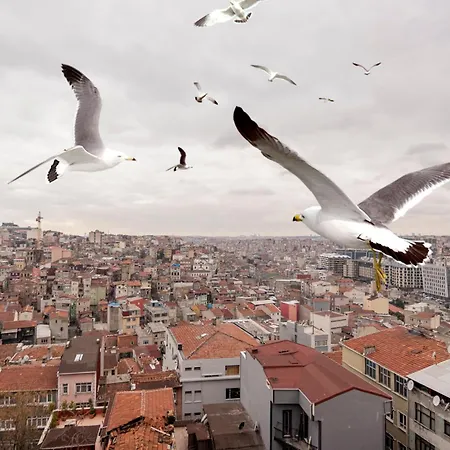 Taksim Roya - Taksim Κωνσταντινούπολη